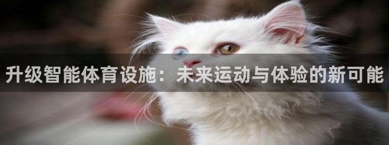 尊龙网站 人生就是博