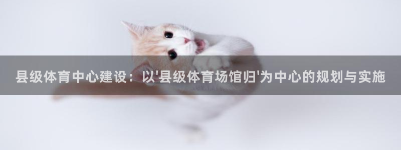 z6尊龙z6