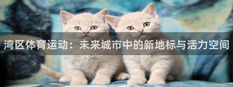 尊龙是什么软件