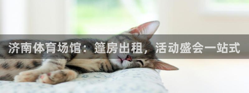 d88尊龙官网登录免费下载：济南体育场馆：篷房出租，活动盛会