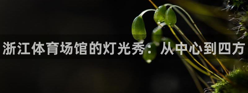 尊龙凯时 人生就是搏!