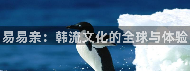 山外人精品影院 6 在线观看：易易亲：韩流文化的全球与体验