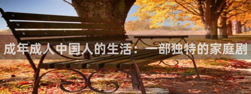 山外人精品影院洋洋av：成年成人中国人的生活：一部独特的家庭剧