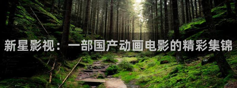 山外人精品影院 6 在线观看：新星影视：一部国产动画电影的精彩集锦