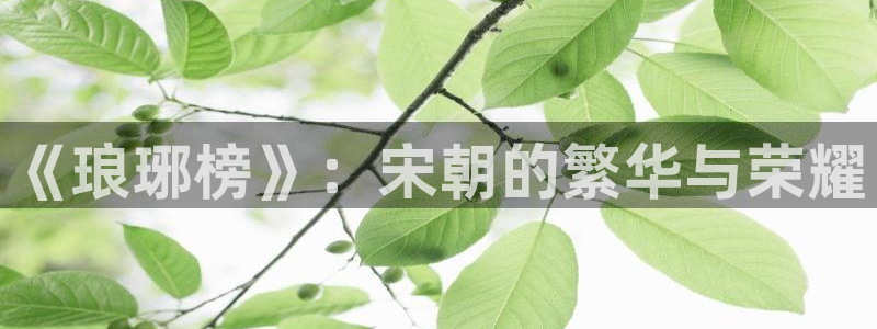 山外人精品影院：《琅琊榜》：宋朝的繁华与荣耀