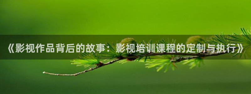 山外人精品影院：《影视作品背后的故事：影视培训课程的定制与执行》