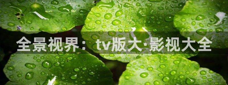 山外人精品影院 6 在线观看：全景视界：tv版大·影视大全