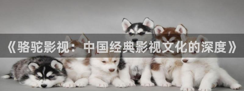 山外人精品影院：《骆驼影视：中国经典影视文化的深度》