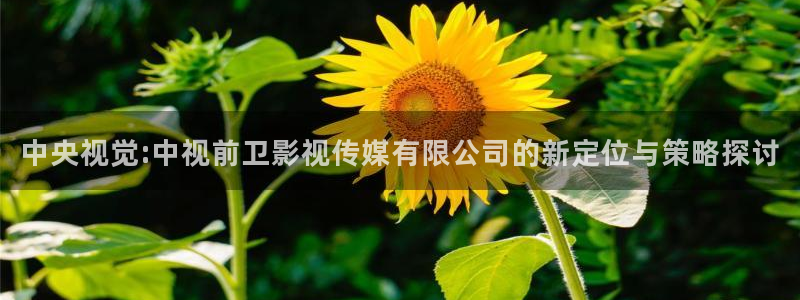 山外人精品影院 6 在线观看：中央视觉:中视前卫影视传媒有限公司的新定位与策略探讨