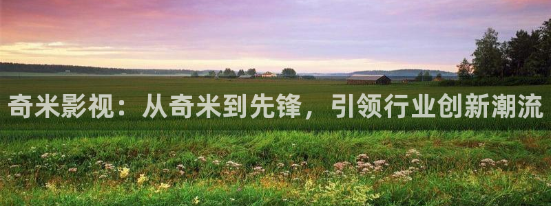 山外人精品影院在线观看：奇米影视：从奇米到先锋，引领行业创新潮流