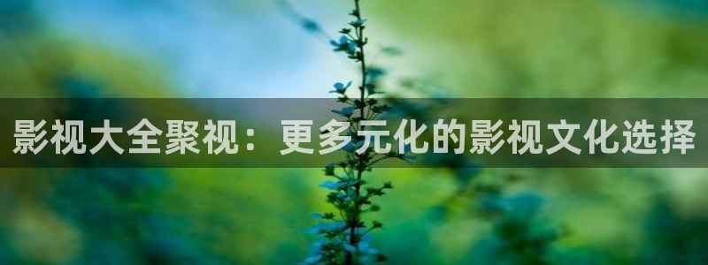 山外人精品影院 6 在线观看：影视大全聚视：更多元化的影视文化选择