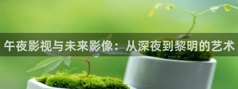 山外人精品影院 6 在线观看：午夜影视与未来影像：从深夜到黎明的艺术