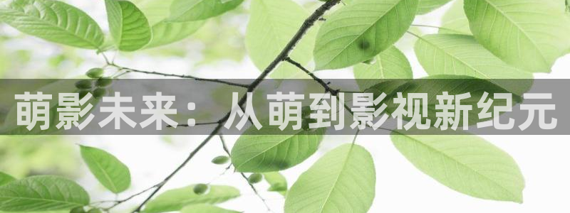 山外人精品影院：萌影未来：从萌到影视新纪元